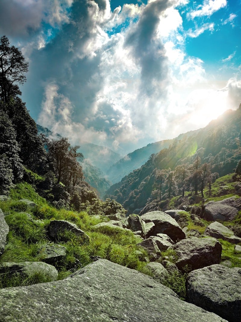 Green Ananthagiri Hills on the Weekend Getaway Combo